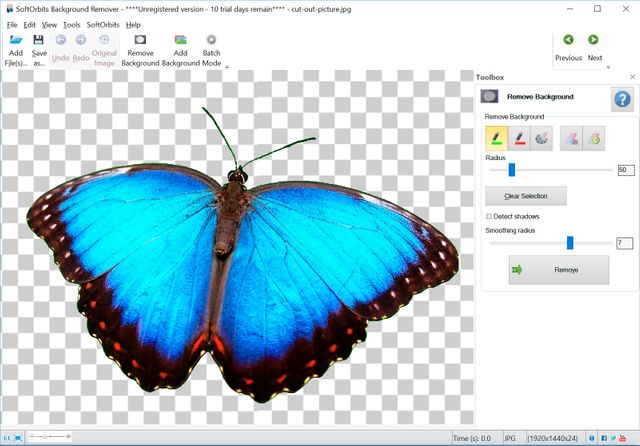 Photo Background Remover Software | Free Download for PC