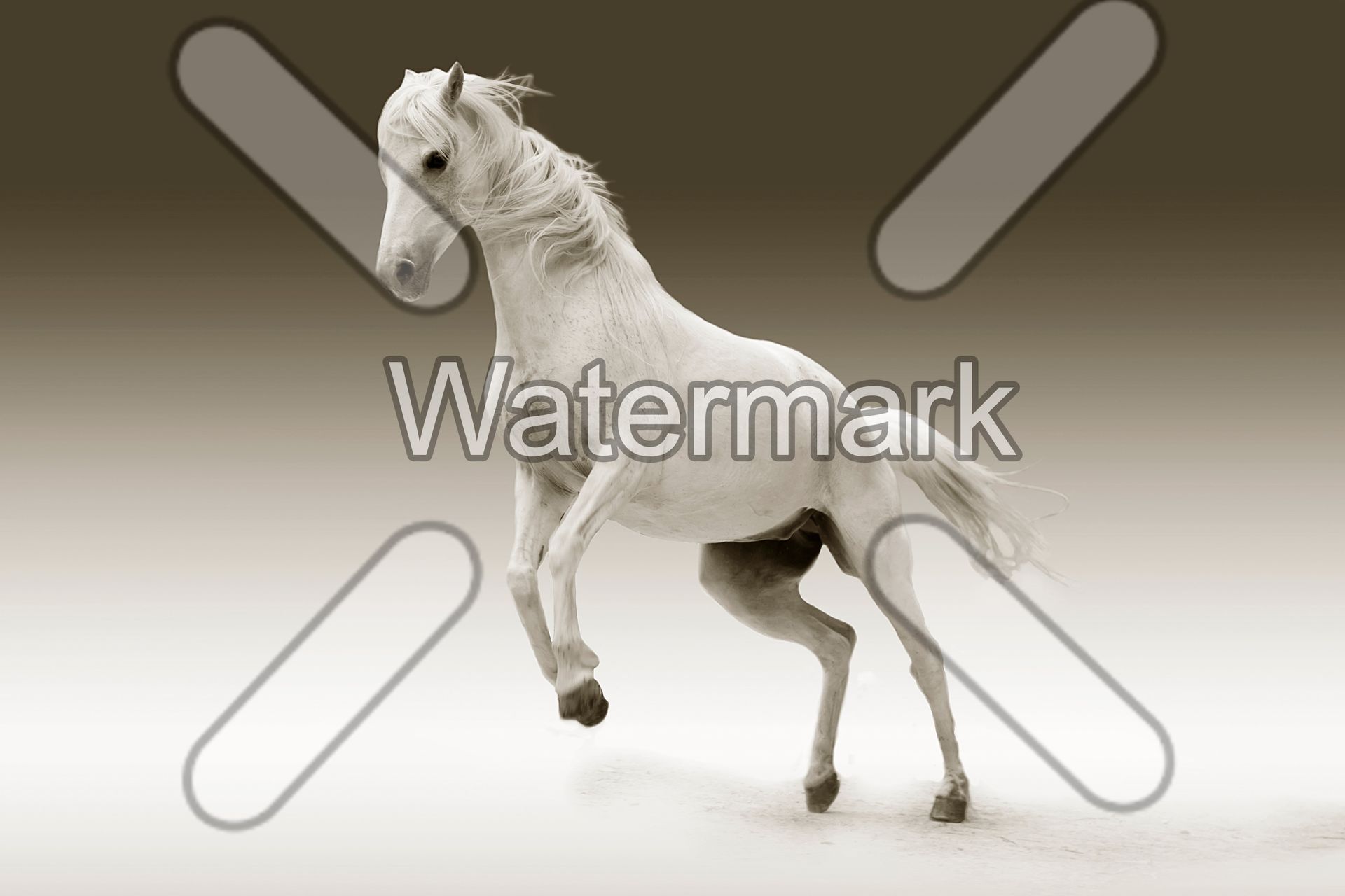 batch photo watermark software