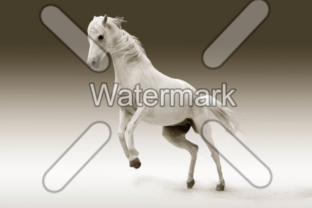 batch photo watermark software free